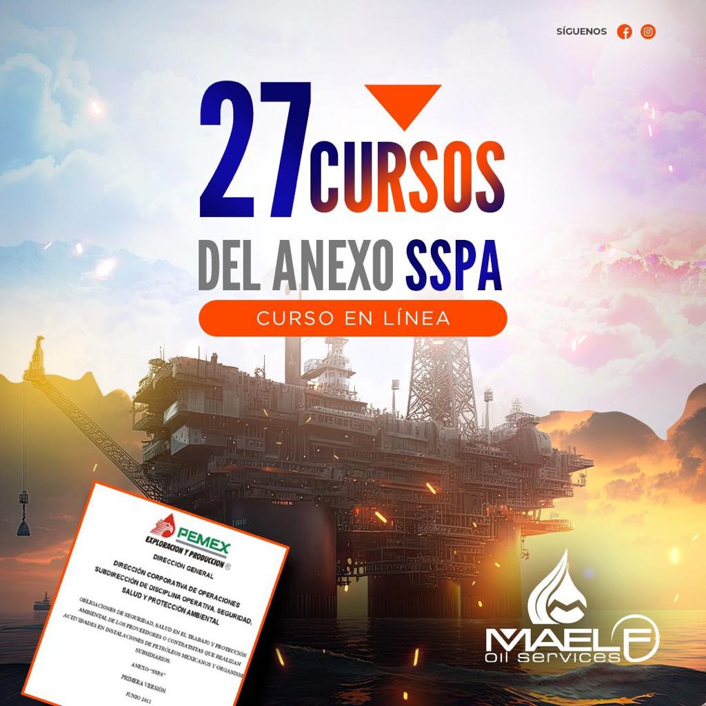 Paquete 27 Cursos Anexo SSPA - Imagen 2