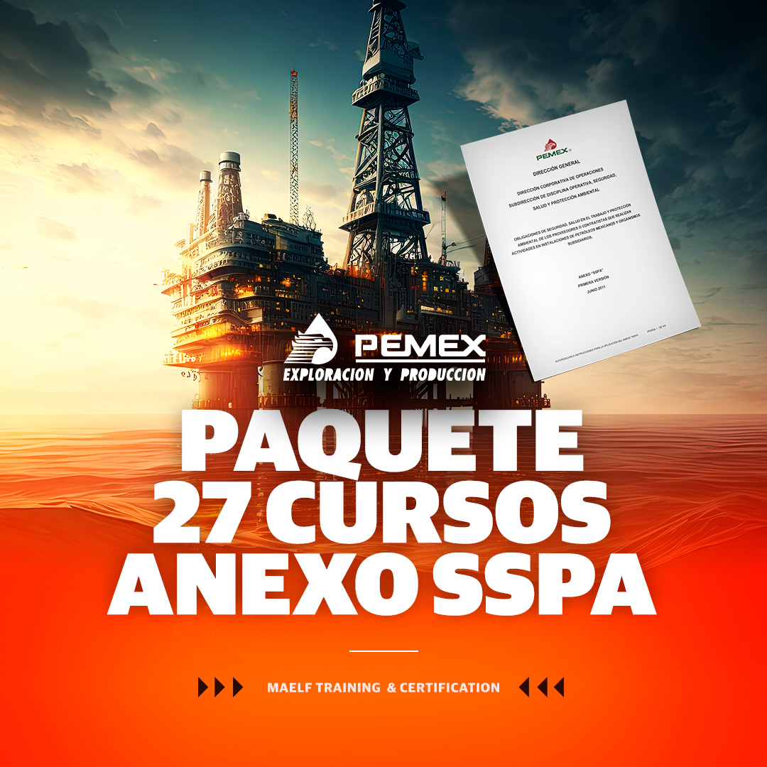 Paquete 27 Cursos Anexo SSPA