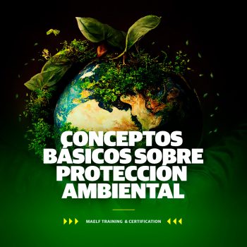 CONCEPTOS BÁSICOS SOBRE PROTECCIÓN AMBIENTAL